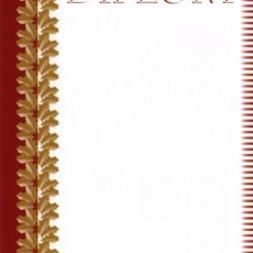 30_52_diplom_3.jpg