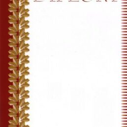 30_52_diplom_3.jpg