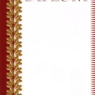 30_52_diplom_3.jpg